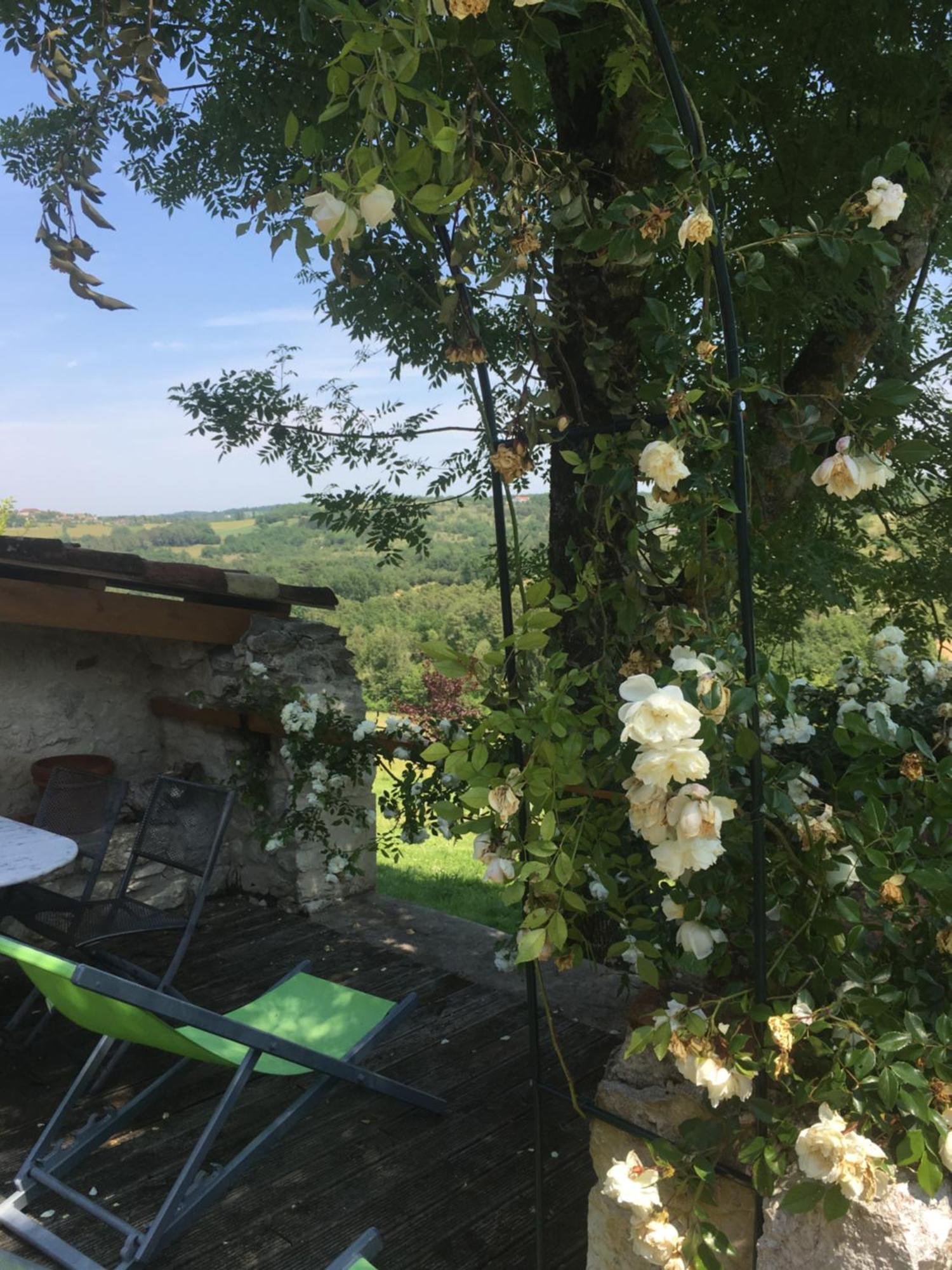 Le Mas Des Papillons Fargues  Kültér fotó