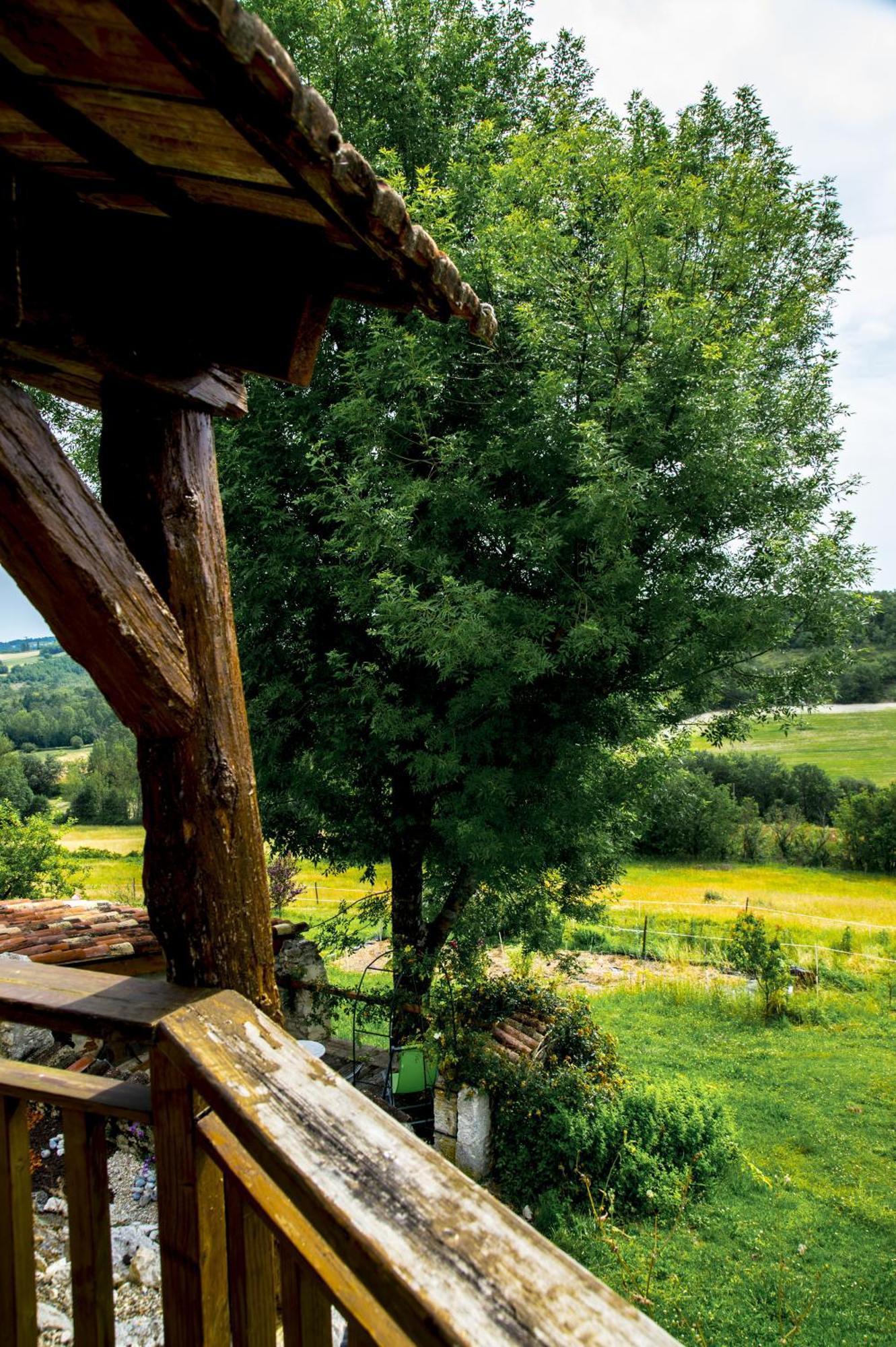 Le Mas Des Papillons Fargues  Kültér fotó