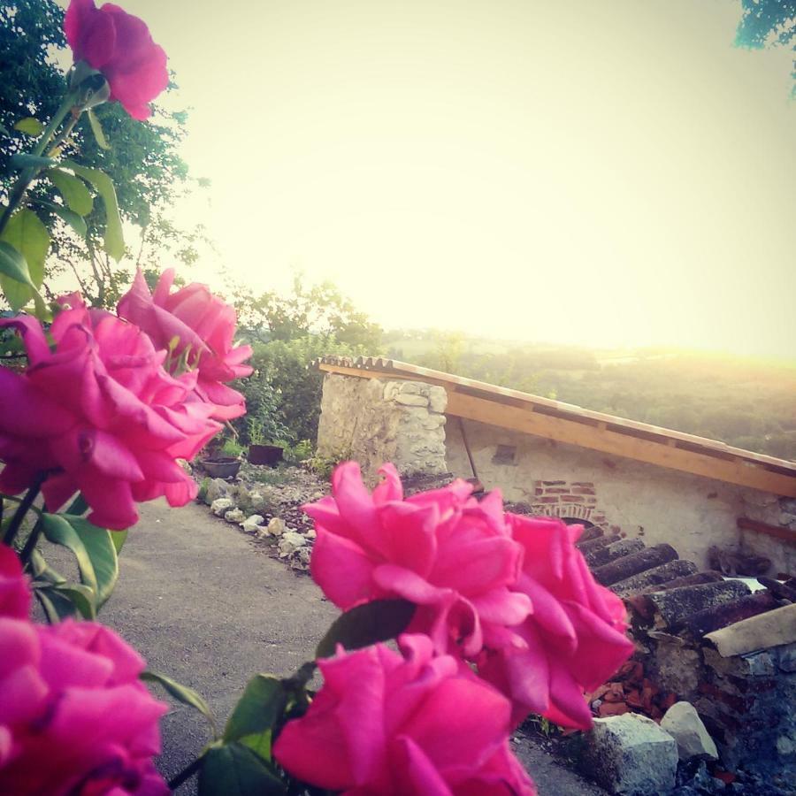 Le Mas Des Papillons Fargues  Kültér fotó